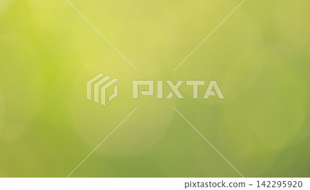 Defocused green natural background as backdrop. Blurred plants. Green is defocused. Defocused green natural background as backdrop. Blurred plants. Green is defocused. 142295920