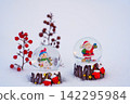 Nandina berries on the snow and a snow globe 142295984