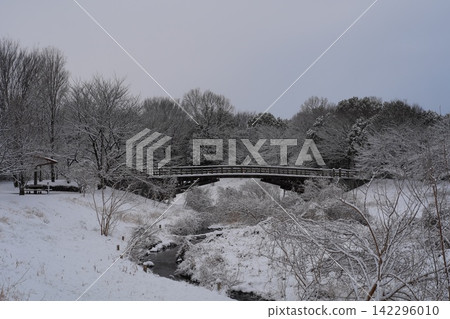 白雪皚皚的公園 白雪皚皚的公園 142296010