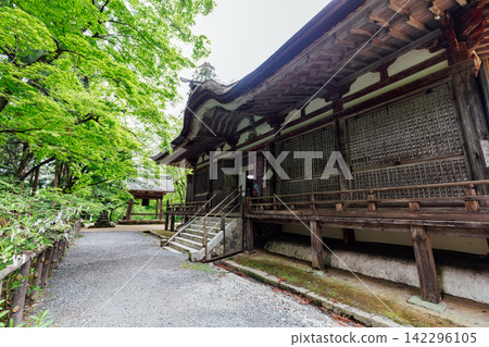 【滋賀縣東近江市】百齋寺:鐘樓、正殿和鬱鬱蔥蔥的綠植 【滋賀縣東近江市】百齋寺:鐘樓、正殿和鬱鬱蔥蔥的綠植 142296105