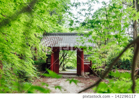 【滋賀縣東近江市】百齋寺:紅門及通往寺廟的鬱鬱蔥蔥綠蔭 【滋賀縣東近江市】百齋寺:紅門及通往寺廟的鬱鬱蔥蔥綠蔭 142296117