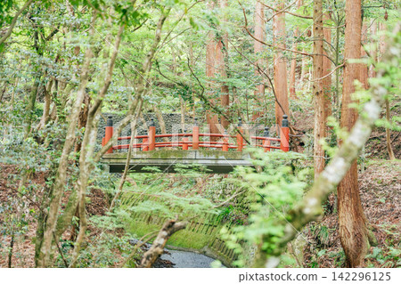 [滋賀縣東近江市]極樂橋、百濟寺 142296125