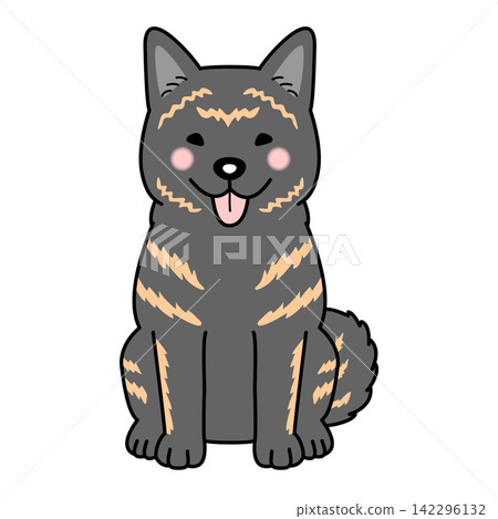 甲斐犬的向量插圖（全身像，正面，坐姿）。 142296132