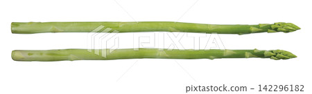 asparagus asparagus 142296182