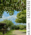 Beautiful scenery of the vineyard 142296192