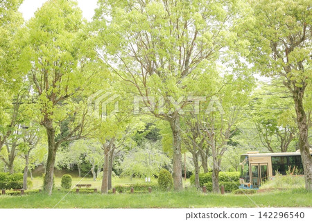 A park in the fresh greenery - bus A park in the fresh greenery - bus 142296540