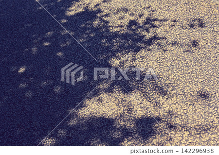 shadow of a tree on the ground shadow of a tree on the ground 142296938