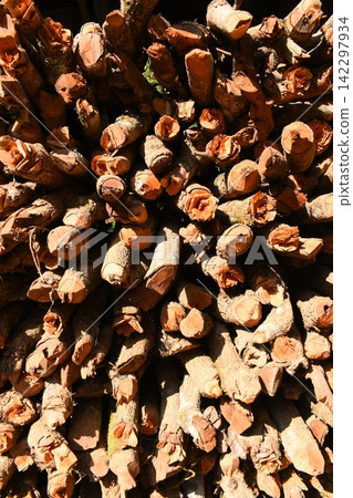 pile of wood log in the country home with sunlight, firewood for fuel 142297934