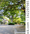 A quiet summer morning stroll to the neighborhood park. 142297985