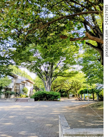 A quiet summer morning stroll to the neighborhood park. A quiet summer morning stroll to the neighborhood park. 142297985