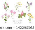 秋季七花 - 手繪插畫集 142298368