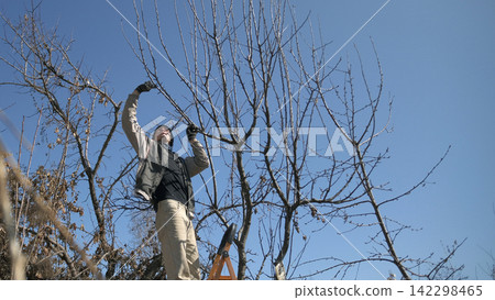 A man prunes a tree with gardening tools while standing on a yellow staircase. The sky is clear and blue. Part-time job for students in the spring season A man prunes a tree with gardening tools while standing on a yellow staircase. The sky is clear and blue. Part-time job for students in the spring season 142298465