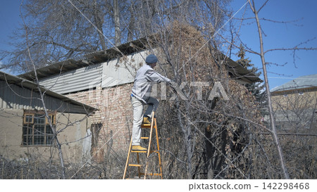 A rural guy cuts dry branches from a tree while standing on a stepladder. The action takes place in the garden, the house is visible in the background A rural guy cuts dry branches from a tree while standing on a stepladder. The action takes place in the garden, the house is visible in the background 142298468
