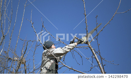 A young white guy saws off branches from a tree with a saw. The sky is blue and clear. Spring gardening. Pruning of trees. Gardening A young white guy saws off branches from a tree with a saw. The sky is blue and clear. Spring gardening. Pruning of trees. Gardening 142298470