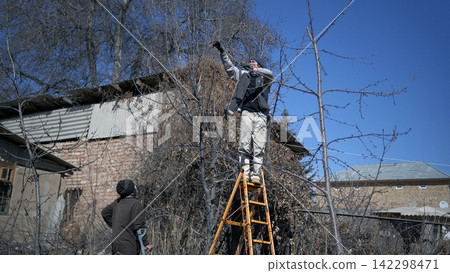 A man stands on a stepladder to prune a tree. A guy helps a neighbor's grandmother in the garden. The action takes place in a rural area, with a house visible in the background A man stands on a stepladder to prune a tree. A guy helps a neighbor's grandmother in the garden. The action takes place in a rural area, with a house visible in the background 142298471