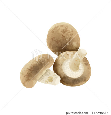 Stacked watercolor-style fresh shiitake mushrooms 142298813