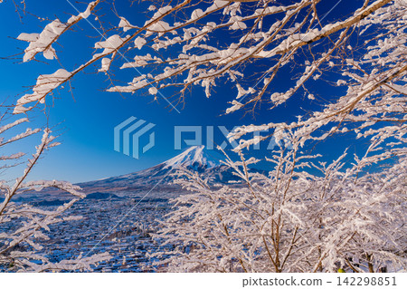 【山梨縣】從新倉山淺間公園看到的富士山,被皚皚、白雪覆蓋。 【山梨縣】從新倉山淺間公園看到的富士山,被皚皚、白雪覆蓋。 142298851