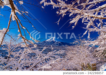 [Yamanashi Prefecture] Mount Fuji as seen from Arakurayama Sengen Park, which is covered in a blanket of snow. 142298857
