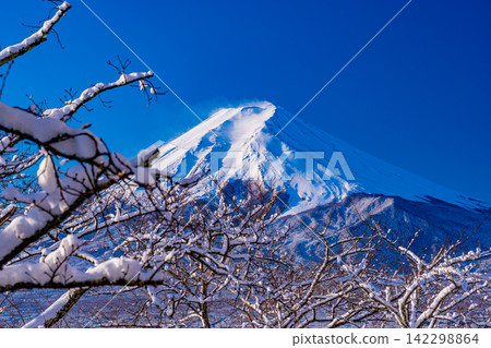 [Yamanashi Prefecture] Mount Fuji as seen from Arakurayama Sengen Park, which is covered in a blanket of snow. 142298864