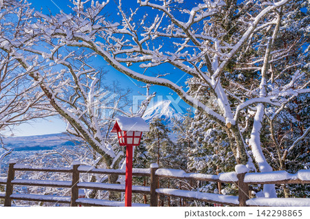 [Yamanashi Prefecture] Mount Fuji as seen from Arakurayama Sengen Park, which is covered in a blanket of snow. 142298865