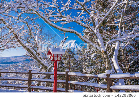 [Yamanashi Prefecture] Mount Fuji as seen from Arakurayama Sengen Park, which is covered in a blanket of snow. 142298866