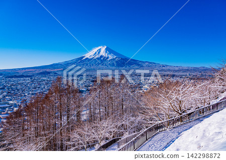 【山梨縣】從新倉山淺間公園看到的富士山,被皚皚、白雪覆蓋。 【山梨縣】從新倉山淺間公園看到的富士山,被皚皚、白雪覆蓋。 142298872
