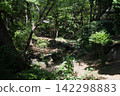 A forest of fresh greenery bathed in dappled sunlight, accompanied by the gentle flow of a stream (Yasaka Park, Bando City) A forest of fresh greenery bathed in dappled sunlight, accompanied by the gentle flow of a stream (Yasaka Park, Bando City) 142298883