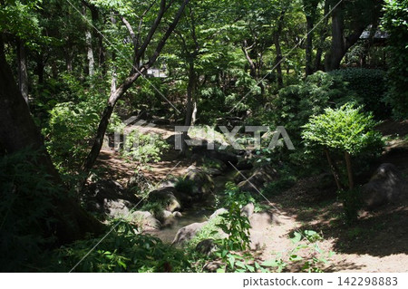 A forest of fresh greenery bathed in dappled sunlight, accompanied by the gentle flow of a stream (Yasaka Park, Bando City) A forest of fresh greenery bathed in dappled sunlight, accompanied by the gentle flow of a stream (Yasaka Park, Bando City) 142298883