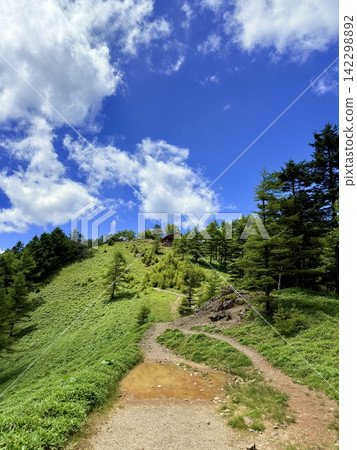 從東京最高峰雲取山頂眺望富士山和夏季山景,周圍環繞著藍天和積雲,以及雲取山避難小屋。 從東京最高峰雲取山頂眺望富士山和夏季山景,周圍環繞著藍天和積雲,以及雲取山避難小屋。 142298892