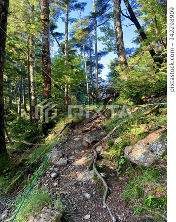從東京最高峰雲取山頂眺望富士山和夏季山景,周圍環繞著藍天和積雲,以及雲取山避難小屋。 從東京最高峰雲取山頂眺望富士山和夏季山景,周圍環繞著藍天和積雲,以及雲取山避難小屋。 142298909