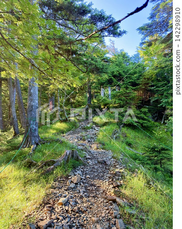 從東京最高峰雲取山頂眺望富士山和夏季山景,周圍環繞著藍天和積雲,以及雲取山避難小屋。 從東京最高峰雲取山頂眺望富士山和夏季山景,周圍環繞著藍天和積雲,以及雲取山避難小屋。 142298910