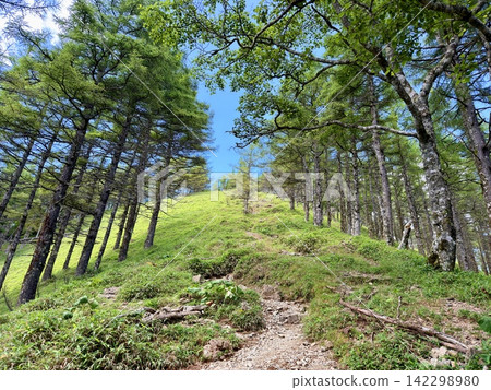 Summer scenery along the Kamosawa route from the Kosode trailhead in Yamanashi Prefecture to Mt. Kumotori, the highest peak in Tokyo: blue skies, spring water, and views of Mt. Fuji from the hiking trail. 142298980