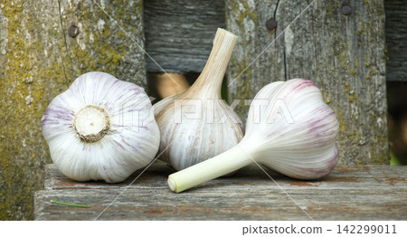 Three fresh garlic bulbs resting on weathered wooden planks outdoors Three fresh garlic bulbs resting on weathered wooden planks outdoors 142299011