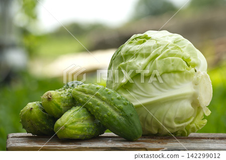 Fresh Green Cabbage And Cucumbers On Wooden Table Outdoors With Natural Garden Background Fresh Green Cabbage And Cucumbers On Wooden Table Outdoors With Natural Garden Background 142299012