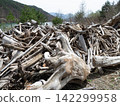 Dam driftwood 142299958