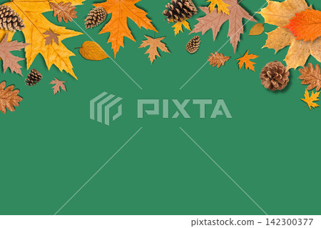 Autumn. Vibrant assortment of fall leaves and pine cones scattered on green surface Autumn. Vibrant assortment of fall leaves and pine cones scattered on green surface 142300377