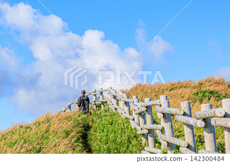 Hikers walking along the wooden fenced trail of the Momoiwa Observatory course on Rebun Island, leading to the blue sky, in Rishiri-Rebun-Sarobetsu National Park. Hikers walking along the wooden fenced trail of the Momoiwa Observatory course on Rebun Island, leading to the blue sky, in Rishiri-Rebun-Sarobetsu National Park. 142300484