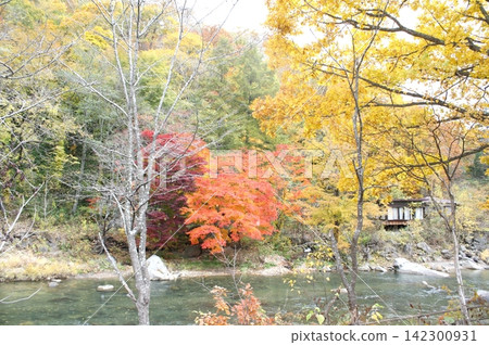 北海道大瀧的秋葉景色（攝於2012年10月） 142300931