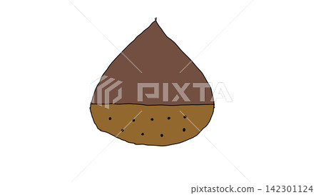 Simple chestnut illustration Simple chestnut illustration 142301124