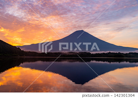 [Shizuoka Prefecture] Lake Tanuki and Mount Fuji bathed in the morning light 142301304