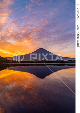[Shizuoka Prefecture] Lake Tanuki and Mount Fuji bathed in the morning light 142301305