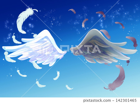 White and black wings and feathers fluttering in the night sky White and black wings and feathers fluttering in the night sky 142301465