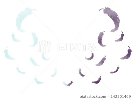 White and black feathers fluttering down, silhouettes on both sides 142301469