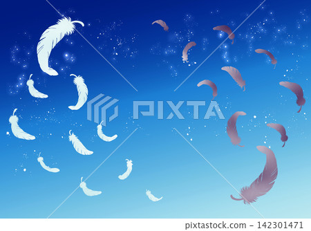 黑白相間的羽毛飄落，在夜空的襯托下，兩側勾勒出清晰的輪廓。 142301471