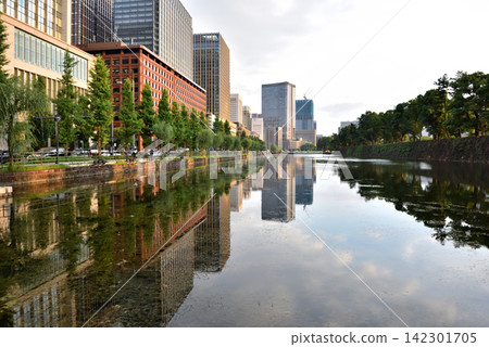 Hibiya ginkgo trees and buildings reflected in the outer moat Hibiya ginkgo trees and buildings reflected in the outer moat 142301705