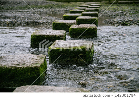 A low-angle view of moss-covered stepping stones crossing a clear stream and the flowing water under a cloudy sky. A low-angle view of moss-covered stepping stones crossing a clear stream and the flowing water under a cloudy sky. 142301794