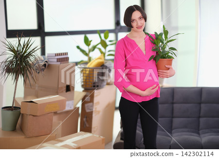 Pregnant woman holds houseplant as stands near packed boxes 142302114