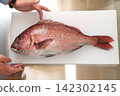 把鯛魚分開 142302145