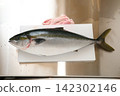 鮮魚 142302146