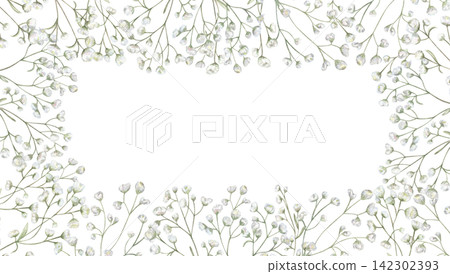 Delicate baby breath floral horizontal border with blank center. Watercolor gypsophila frame on isolated background. Floral template for wedding invitation, elegant greeting card, romantic stationery 142302393